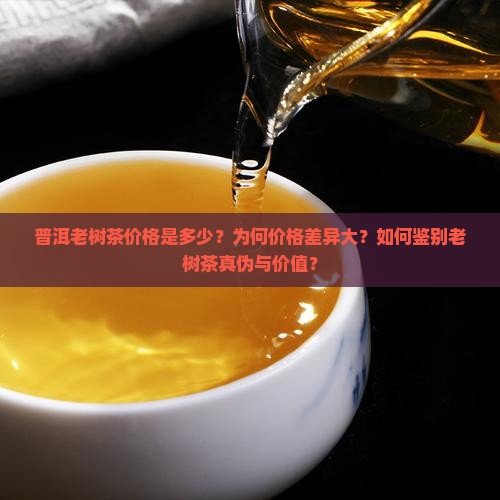 普洱老树茶价格是多少？为何价格差异大？如何鉴别老树茶真伪与价值？