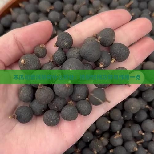 木瓜和普洱茶有什么好处：搭配饮用功效与作用一览