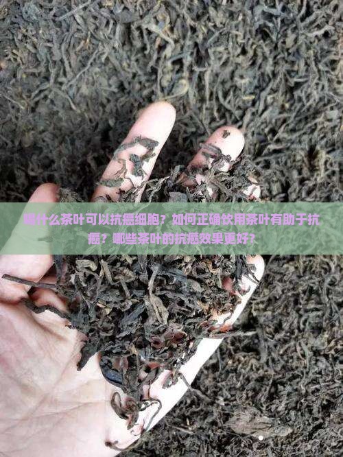 喝什么茶叶可以抗癌细胞？如何正确饮用茶叶有助于抗癌？哪些茶叶的抗癌效果更好？