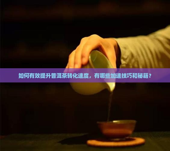 如何有效提升普洱茶转化速度，有哪些加速技巧和秘籍？