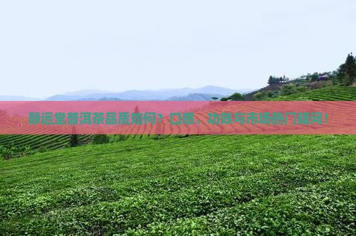 静远堂普洱茶品质如何？口感、功效与市场热门疑问！