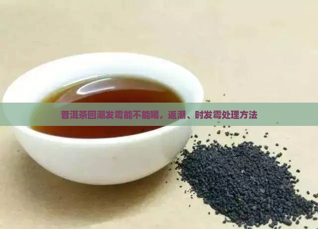 普洱茶回潮发霉能不能喝，返潮、时发霉处理方法