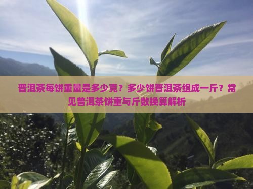 普洱茶每饼重量是多少克？多少饼普洱茶组成一斤？常见普洱茶饼重与斤数换算解析