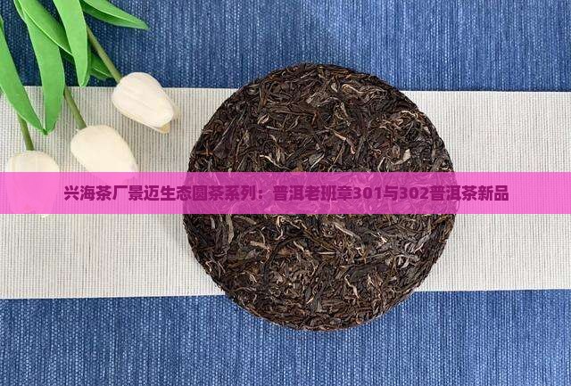 兴海茶厂景迈生态圆茶系列：普洱老班章301与302普洱茶新品