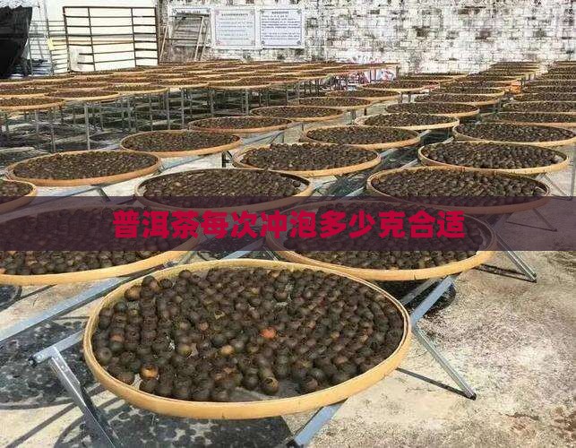 普洱茶每次冲泡多少克合适