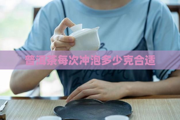 普洱茶每次冲泡多少克合适