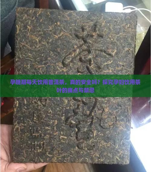 孕晚期每天饮用普洱茶，真的安全吗？探究孕妇饮用茶叶的痛点与禁忌