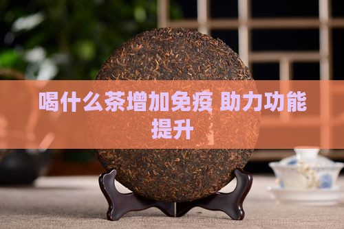 喝什么茶增加免疫 助力功能提升