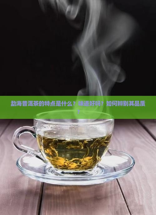 勐海普洱茶的特点是什么？味道好吗？如何辨别其品质？