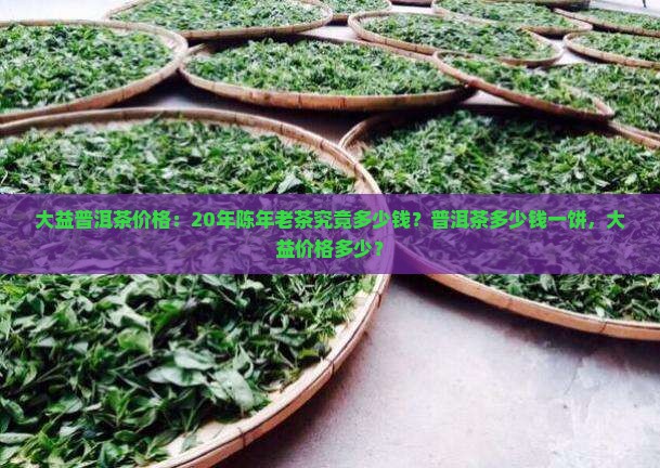 大益普洱茶价格：20年陈年老茶究竟多少钱？普洱茶多少钱一饼，大益价格多少？