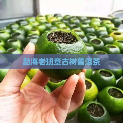 勐海老班章古树普洱茶