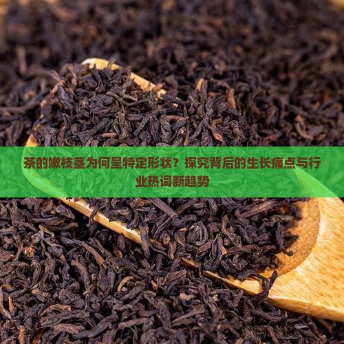 茶的嫩枝茎为何呈特定形状？探究背后的生长痛点与行业热词新趋势
