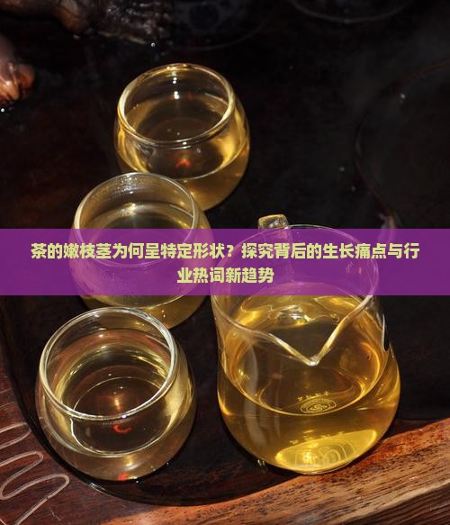 茶的嫩枝茎为何呈特定形状？探究背后的生长痛点与行业热词新趋势