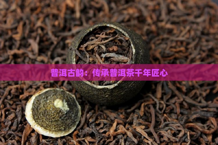 普洱古韵：传承普洱茶千年匠心