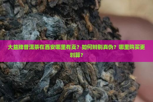 大益牌普洱茶在西安哪里有卖？如何辨别真伪？哪里购买更划算？