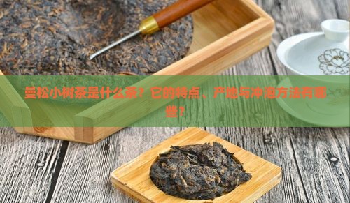 曼松小树茶是什么茶？它的特点、产地与冲泡方法有哪些？
