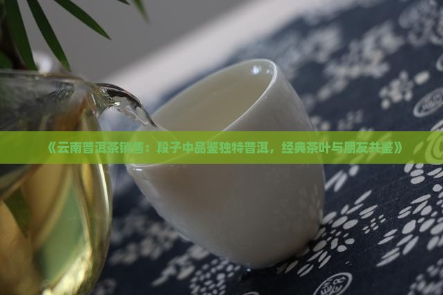 《云南普洱茶销售：段子中品鉴独特普洱，经典茶叶与朋友共鉴》
