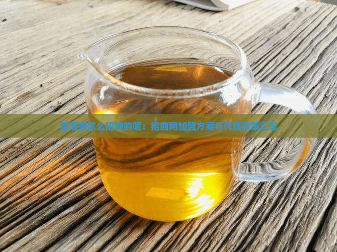 普洱茶怎么招商的呢：招商网加盟方案与代理政策汇总