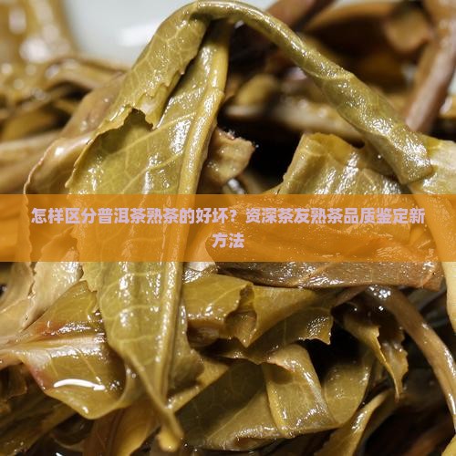 怎样区分普洱茶熟茶的好坏？资深茶友熟茶品质鉴定新方法