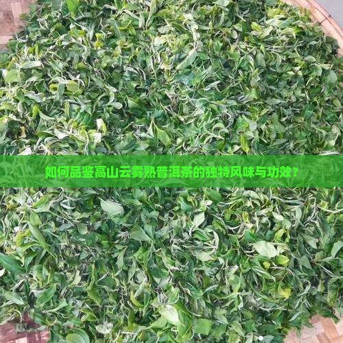 如何品鉴高山云雾熟普洱茶的独特风味与功效？