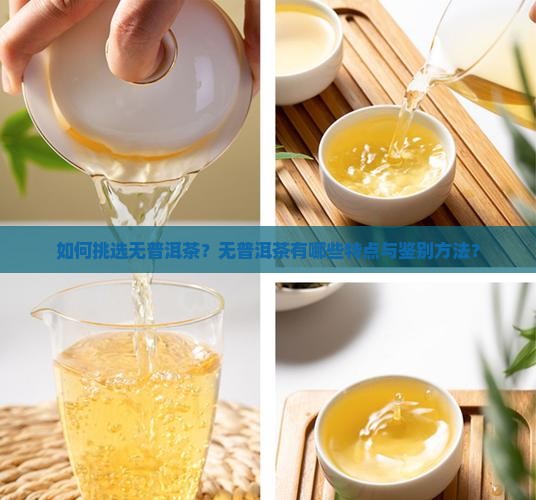 如何挑选无普洱茶？无普洱茶有哪些特点与鉴别方法？