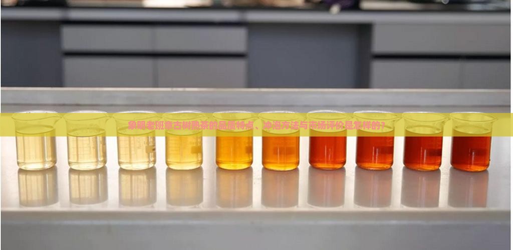 象明老班章古树熟茶的品质特点、冲泡方法与市场评价是怎样的？