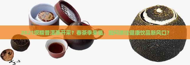 2021坝糯普洱茶开采？春茶季来临，如何抓住健康饮品新风口？
