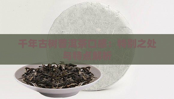 千年古树普洱茶口感：特别之处与特点解析
