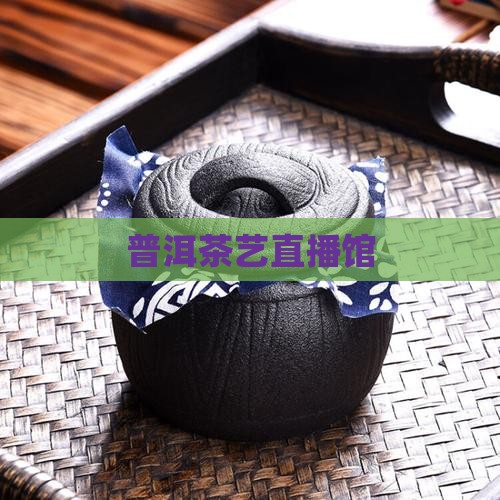 普洱茶艺直播馆