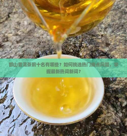 邯山普洱茶前十名有哪些？如何挑选热门痛点问题，掌握最新热词新词？