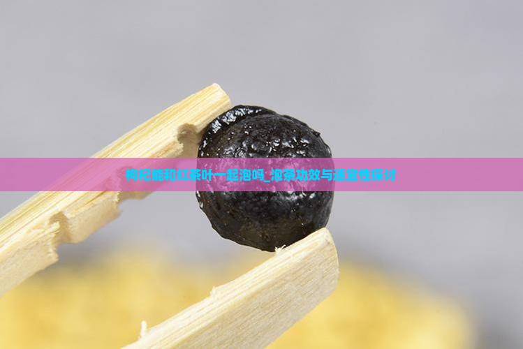 枸杞能和红茶叶一起泡吗_泡茶功效与适宜性探讨