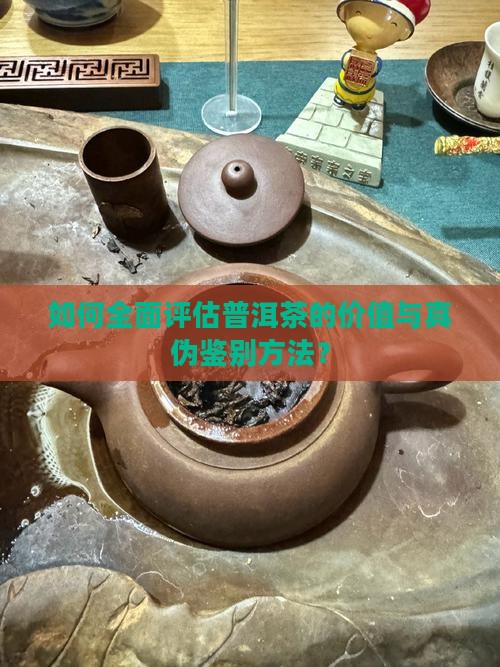 如何全面评估普洱茶的价值与真伪鉴别方法？