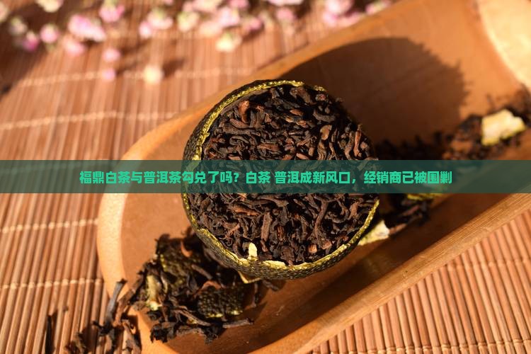 福鼎白茶与普洱茶勾兑了吗？白茶+普洱成新风口，经销商已被围剿