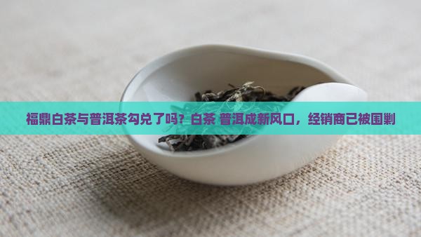 福鼎白茶与普洱茶勾兑了吗？白茶+普洱成新风口，经销商已被围剿