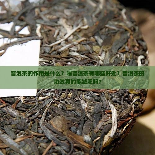 普洱茶的作用是什么？喝普洱茶有哪些好处？普洱茶的功效真的能减肥吗？