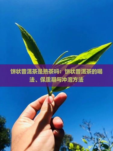 饼状普洱茶是熟茶吗：饼状普洱茶的喝法、保质期与冲泡方法