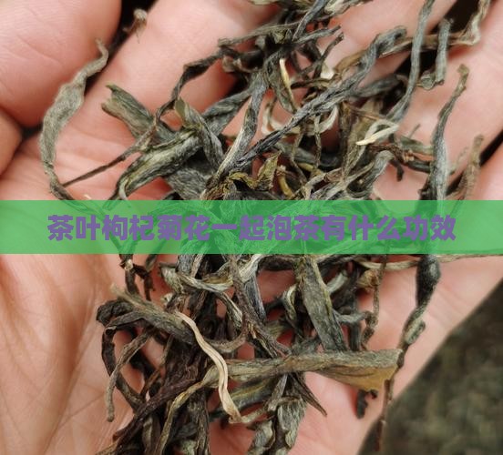 茶叶枸杞菊花一起泡茶有什么功效