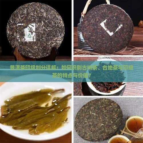 普洱茶印级划分详解：如何识别古树茶、台地茶与印级茶的特点与价值？
