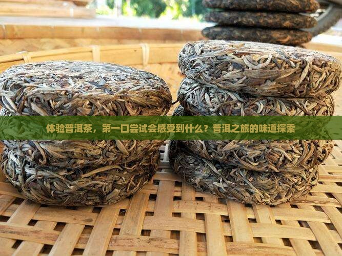 体验普洱茶，第一口尝试会感受到什么？普洱之旅的味道探索