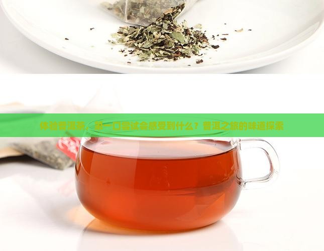 体验普洱茶，第一口尝试会感受到什么？普洱之旅的味道探索