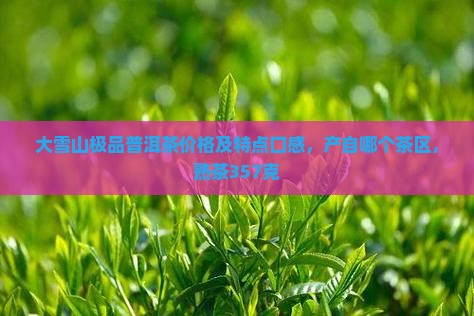 大雪山极品普洱茶价格及特点口感，产自哪个茶区，熟茶357克