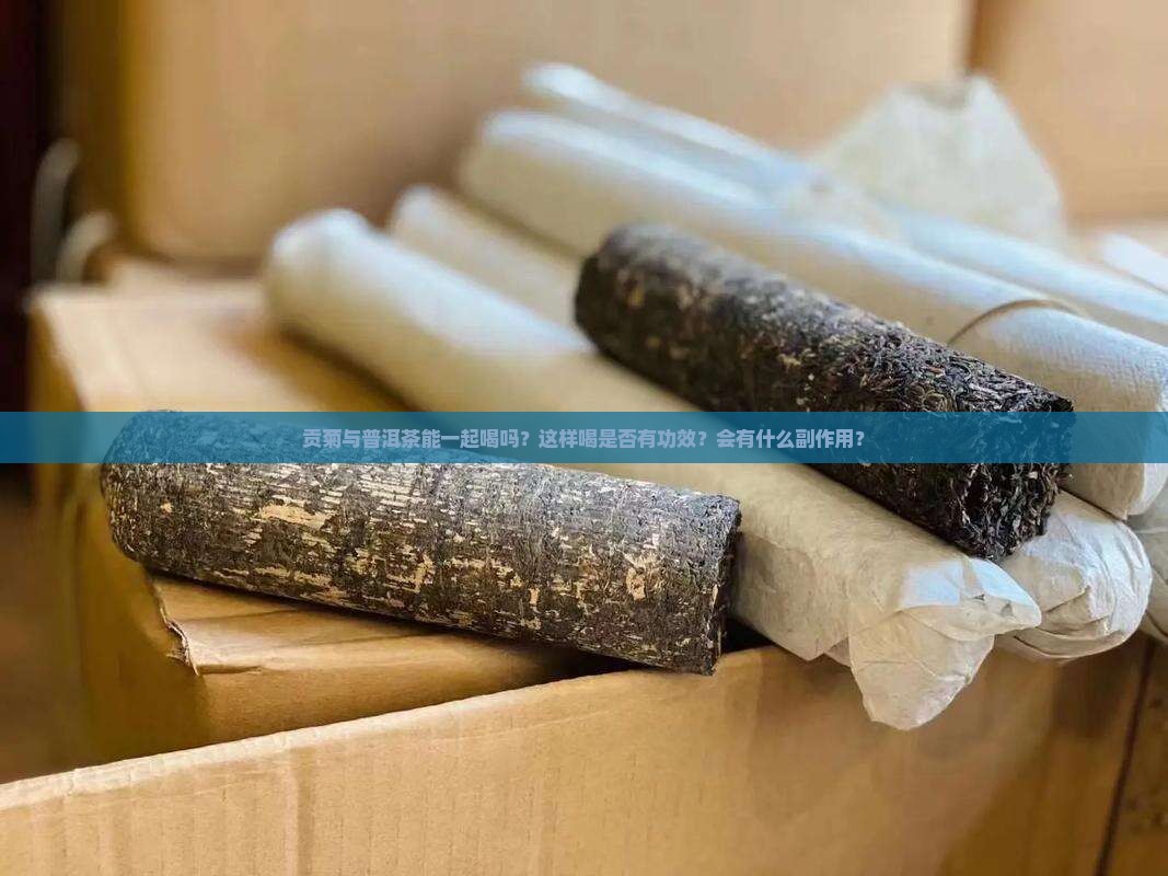 贡菊与普洱茶能一起喝吗？这样喝是否有功效？会有什么副作用？