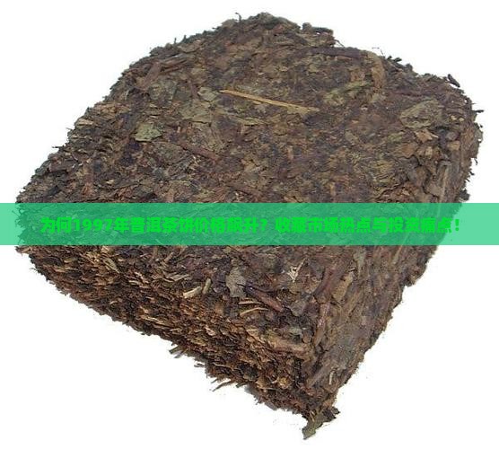 为何1997年普洱茶饼价格飙升？收藏市场热点与投资痛点！