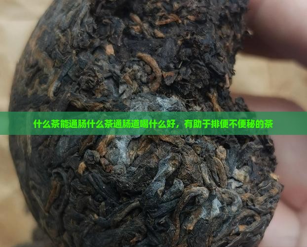 什么茶能通肠什么茶通肠道喝什么好，有助于排便不便秘的茶