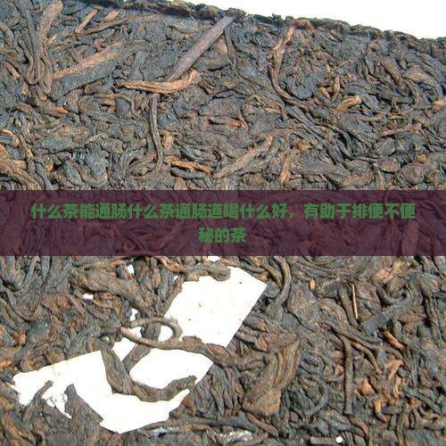 什么茶能通肠什么茶通肠道喝什么好，有助于排便不便秘的茶