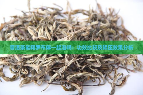 普洱茶能和罗布麻一起泡吗：功效比较及降压效果分析