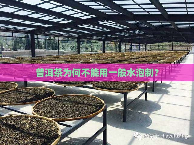 普洱茶为何不能用一般水泡制？