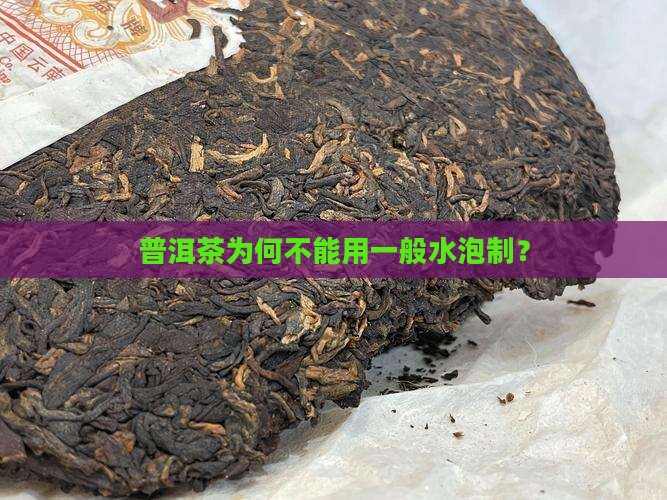 普洱茶为何不能用一般水泡制？