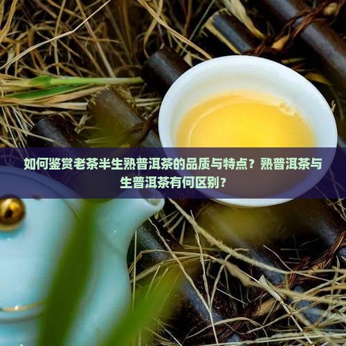 如何鉴赏老茶半生熟普洱茶的品质与特点？熟普洱茶与生普洱茶有何区别？