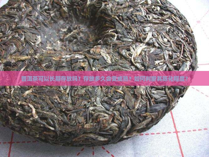 普洱茶可以长期存放吗？存放多久会变成熟？如何判断其陈化程度？